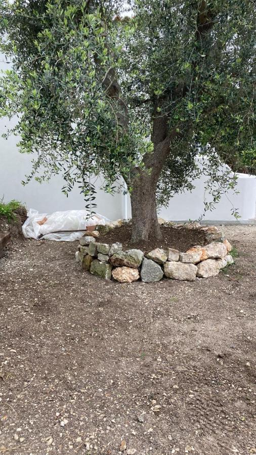 *Suite *Pozzo Dei Desideri Peschici Dış mekan fotoğraf